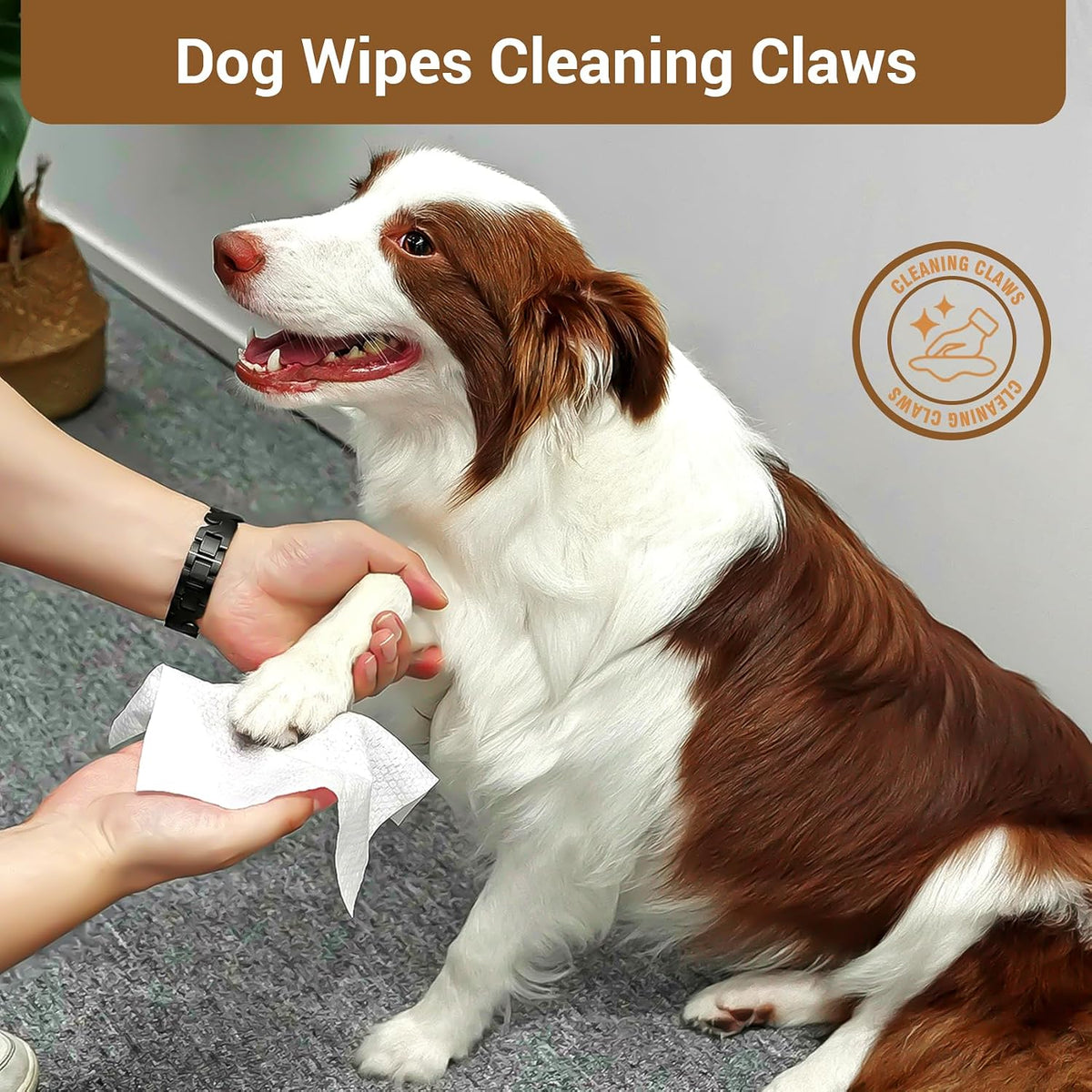 32 PCS Unscented Extra Thick Pet Bathing Wipes for Dogs & Cats - Coconut Oil / 400 Wipes - image 2