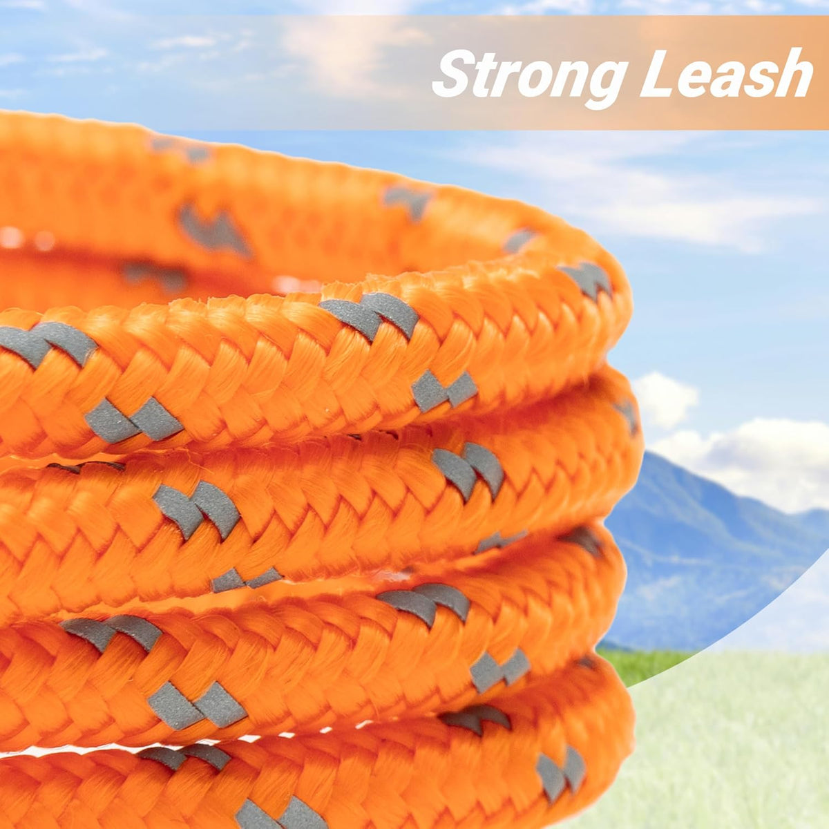 Long Cat Leash Reflective Pet Rope for Yard Walking Training Outdoor - orange / 15 ft - image 3