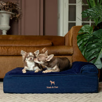 Large Dog Bed Orthopedic Memory Foam Cooling Gel 35x25x8.7 in – Essentials for Dogs - Dark Blue - DE / Medium - image 2