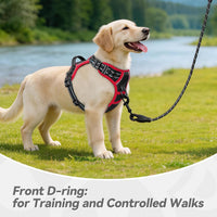 PHOEPET Upgraded No Pull Dog Harness, Reflective Adjustable Vest – Essentials for Dogs - Black / Small - image 4