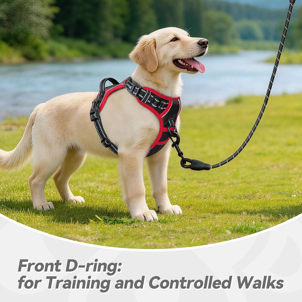 PHOEPET Upgraded No Pull Dog Harness, Reflective Adjustable Vest – Essentials for Dogs - Black / Small - image 4