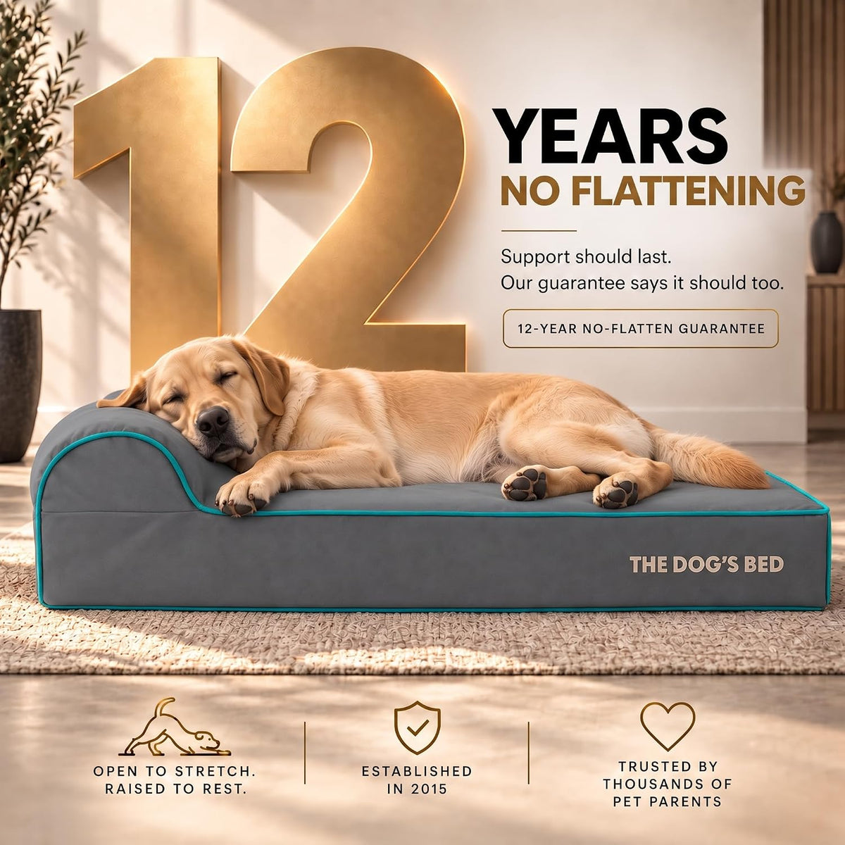The Dog’s Bed Orthopedic Memory Foam Dog Bed with Headrest XL 6-Inch – Essentials for Dogs - Grey with Blue Trim / L (40"L x 25"W x 6"Th) - image 3