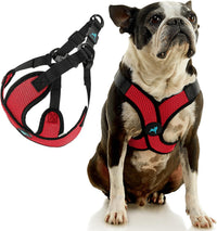 Gooby Comfort X Step-in Lite Harness, Choke-Free - Large (19-22") / Red - image 2