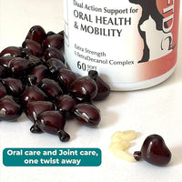 1TDC WorksSoWell Dual Action Joint Supplement for Dogs & Cats - Hip and Joint Supplement for Large Breed & Small Breed - Also Great for Oral Health - Muscle & Stamina Recovery & Arthritis - 60ct