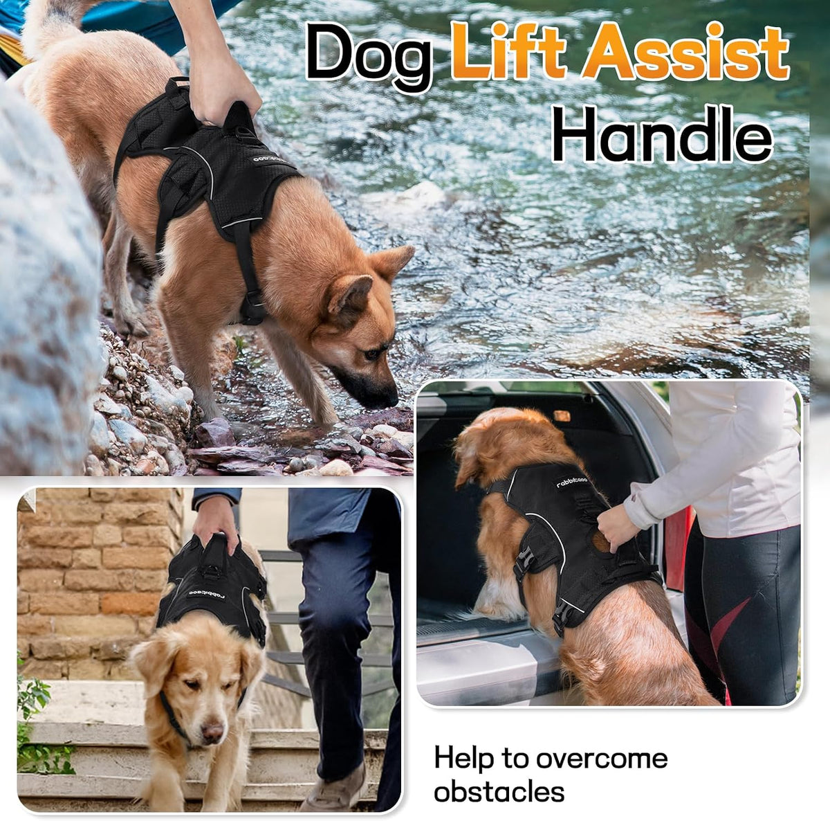 rabbitgoo Escape Proof Dog Harness for Large - Black / Large - image 3