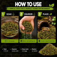 Sukh Sphagnum Moss for Reptiles, Green Terrarium Moss Substrate - 5 Ounces / Green - image 3