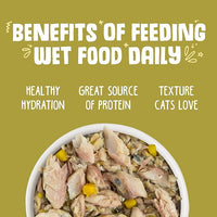 Weruva Classic Cat Food, Meow Luau with Mackerel & Pumpkin in Gravy, 5.5oz Can (Pack of 24)