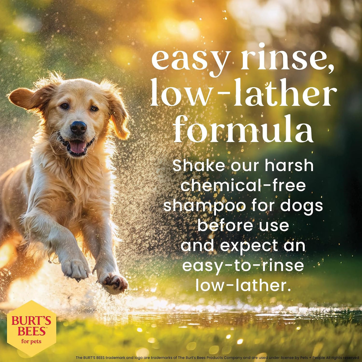 Burts Bees for Pets Oatmeal Dog Shampoo with Honey - Unscented / 32 Fl Oz (Pack of 2) - image 4
