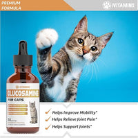 Glucosamine for Cats | Cat Glucosamine | Glucosamine for Cats Liquid | Cat Joint Supplement | Joint Supplement for Cats | Cat Joint Pain Relief | Joint Support for Cats | 1 fl oz: Chicken Flavor