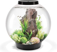 biOrb Classic 60 Acrylic 16-Gallon Aquarium with White LED Lights Modern Tank for Tabletop Display, Black