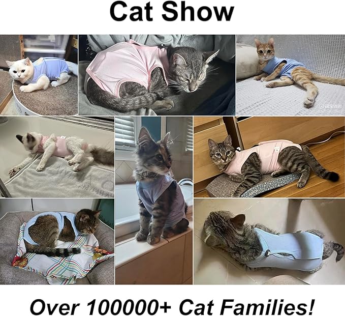 Cat Recovery Suit, Surgical Recovery Clothes for Abdominal Wound or Skin Disease, Cats Onesie After Surgery and Spay, E-Collar Alternative Pajama Suit (Blue, Large)