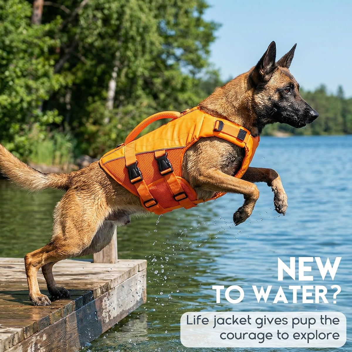 ASENKU Dog Life Jacket, High Floatation Dog Swimming Vest with Rescue Handles for Small Medium - Small / Orange - image 4