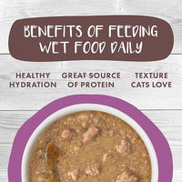 Weruva Classic Cat Stews!, Stewbacca with Chicken, Duck & Salmon in Gravy, 5.5oz Can (Pack of 8)