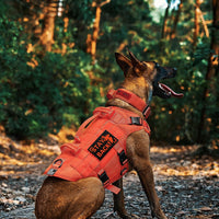 OneTigris Large Tactical Dog Harness No Pull Handle XL Black – Essentials for Dogs - Small / Orange - image 3
