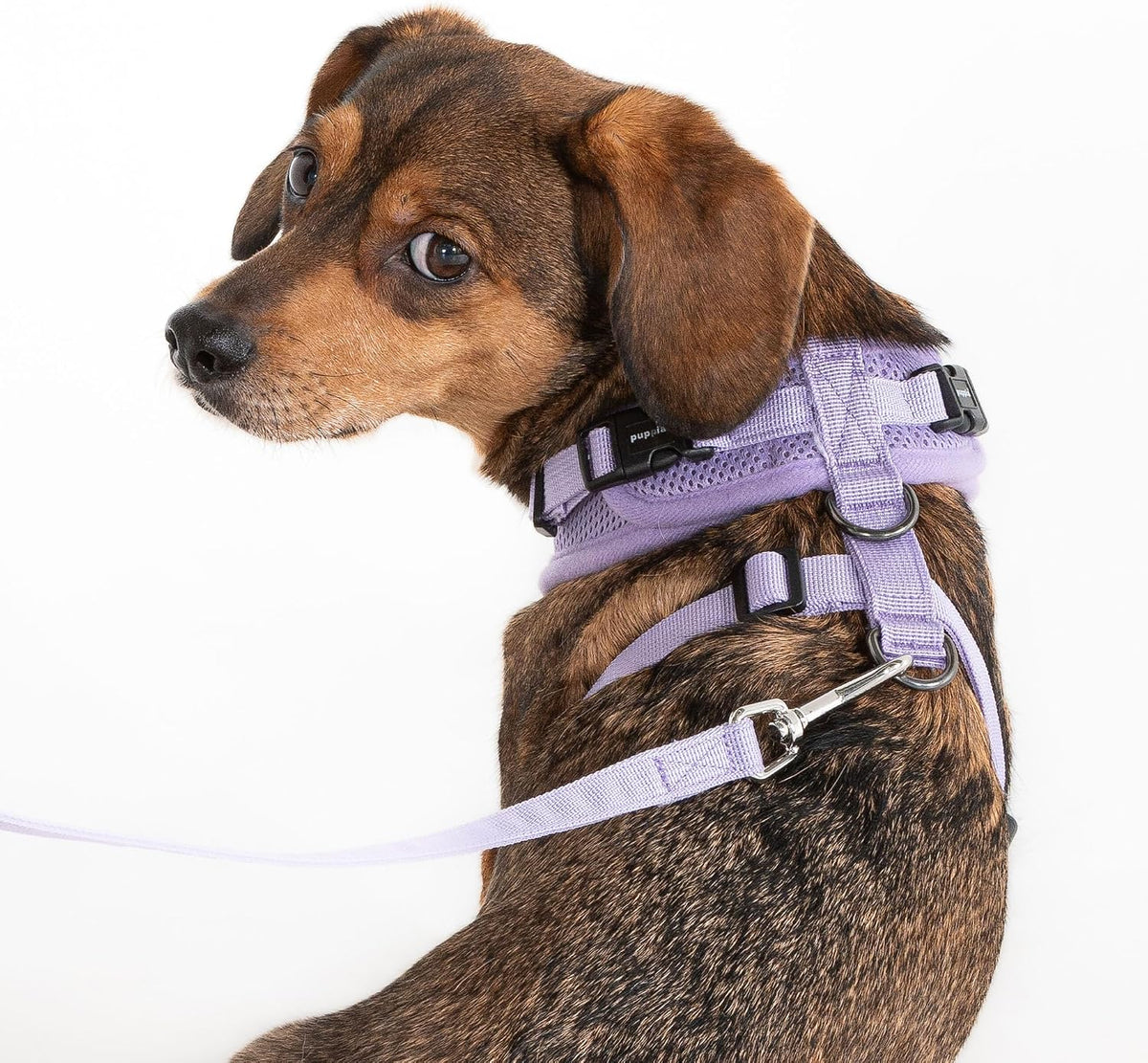 Authentic Puppia RiteFit Harness with Adjustable Neck - Violet / X-Large - image 4