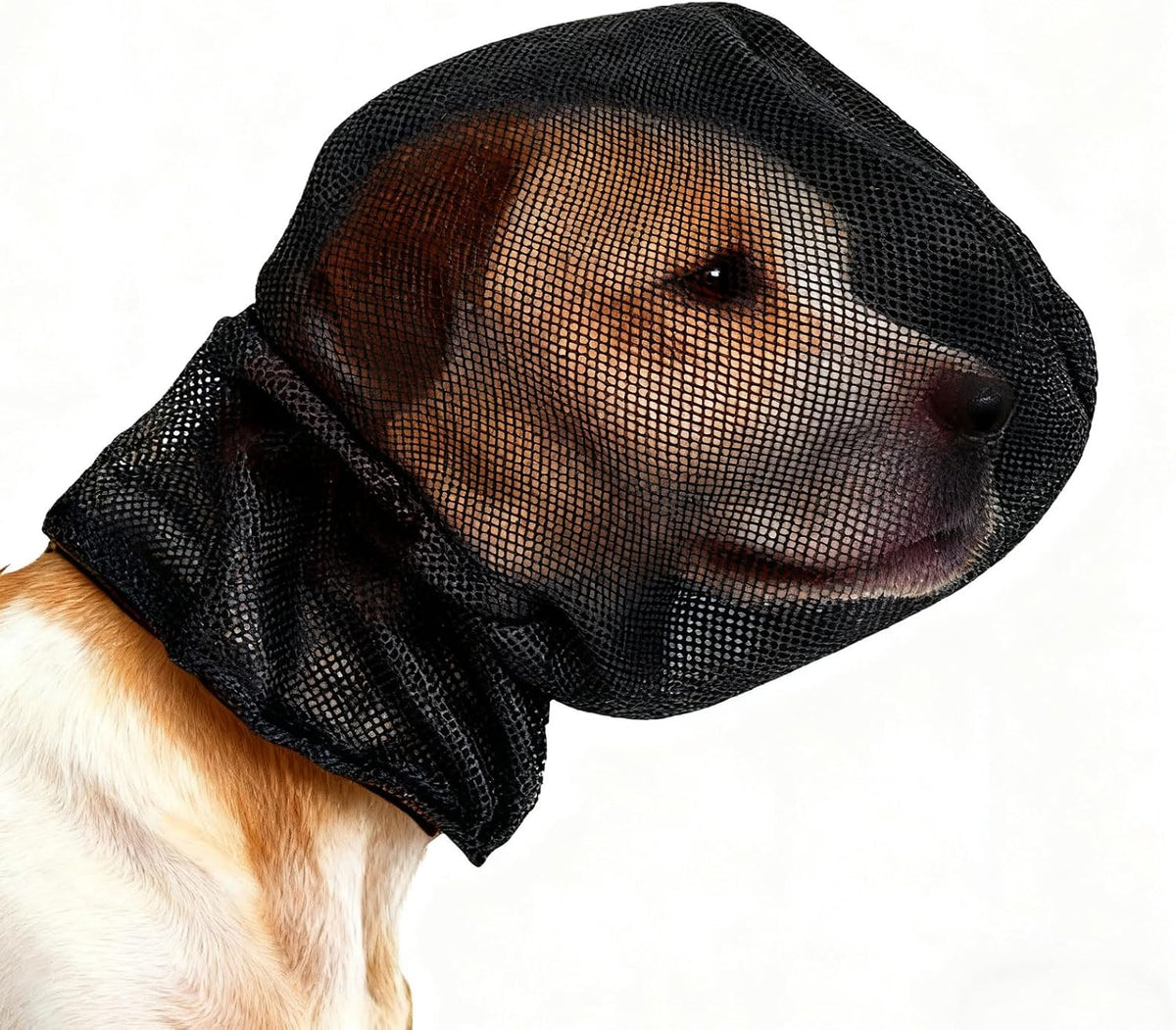 Foxtail Mask Dogs Head Protector - M