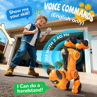 anysun programmable remote control robot dog toy for kids - view 13