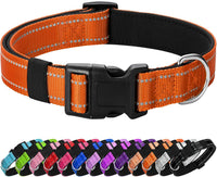 Reflective Dog Collar, Adjustable Nylon for Medium Dogs - Orange / XS:width 5/8"neck 8-10.5"
