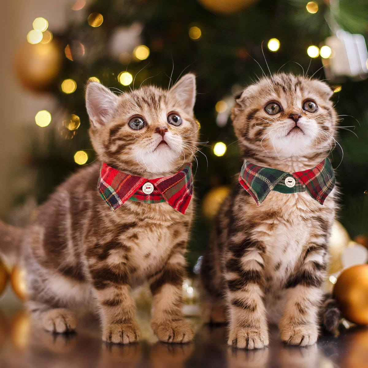 Two Christmas cat collars with bow ties and bells, red and green plaid - view 2