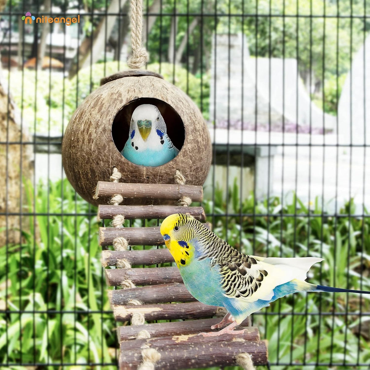 Niteangel Natural Coconut Hamster Hideaway with Ladder - House with Ladder / Smooth Surface - image 3