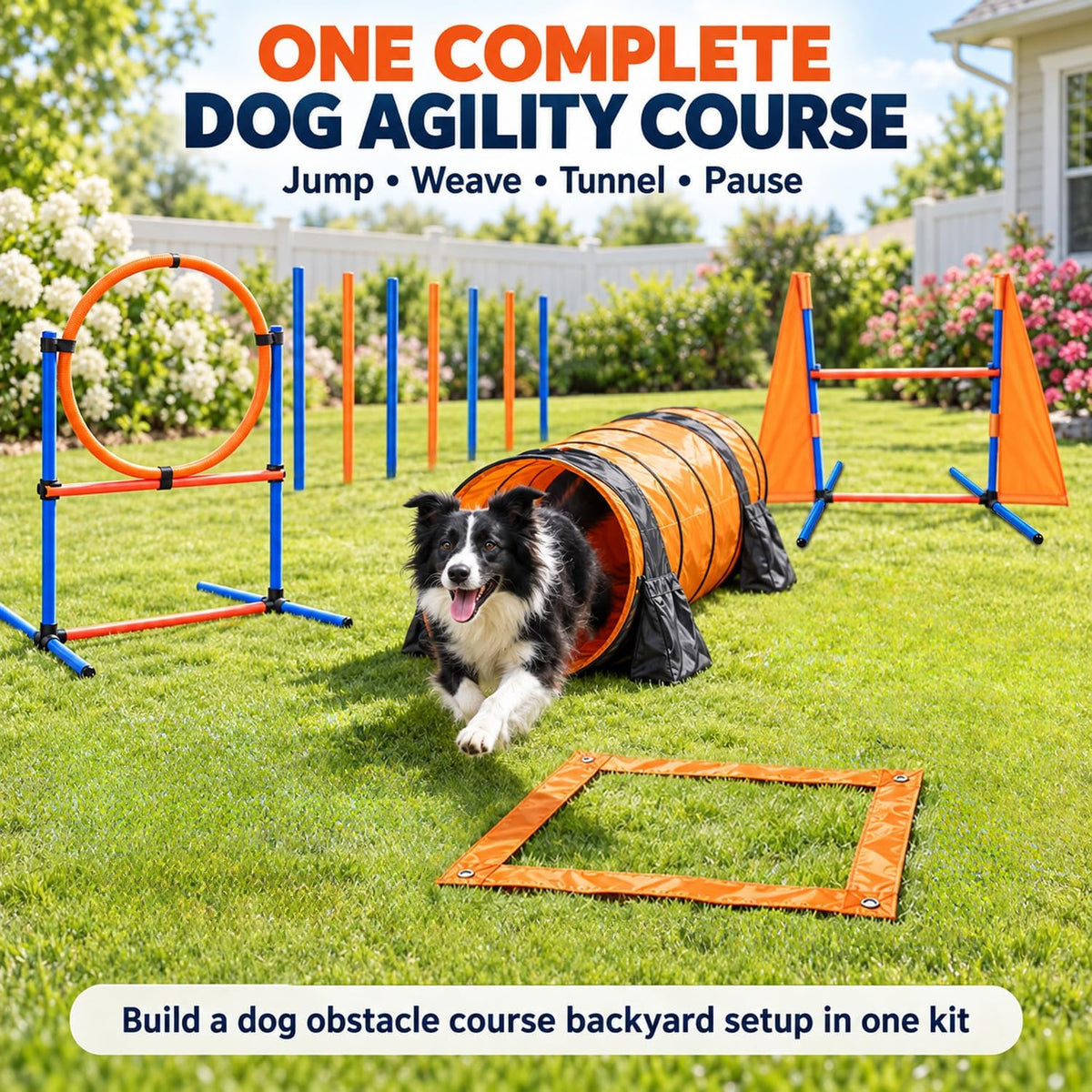 Dog Agility Equipment, 80-Piece Dog Agility Course Backyard Set – Essentials for Dogs - image 2