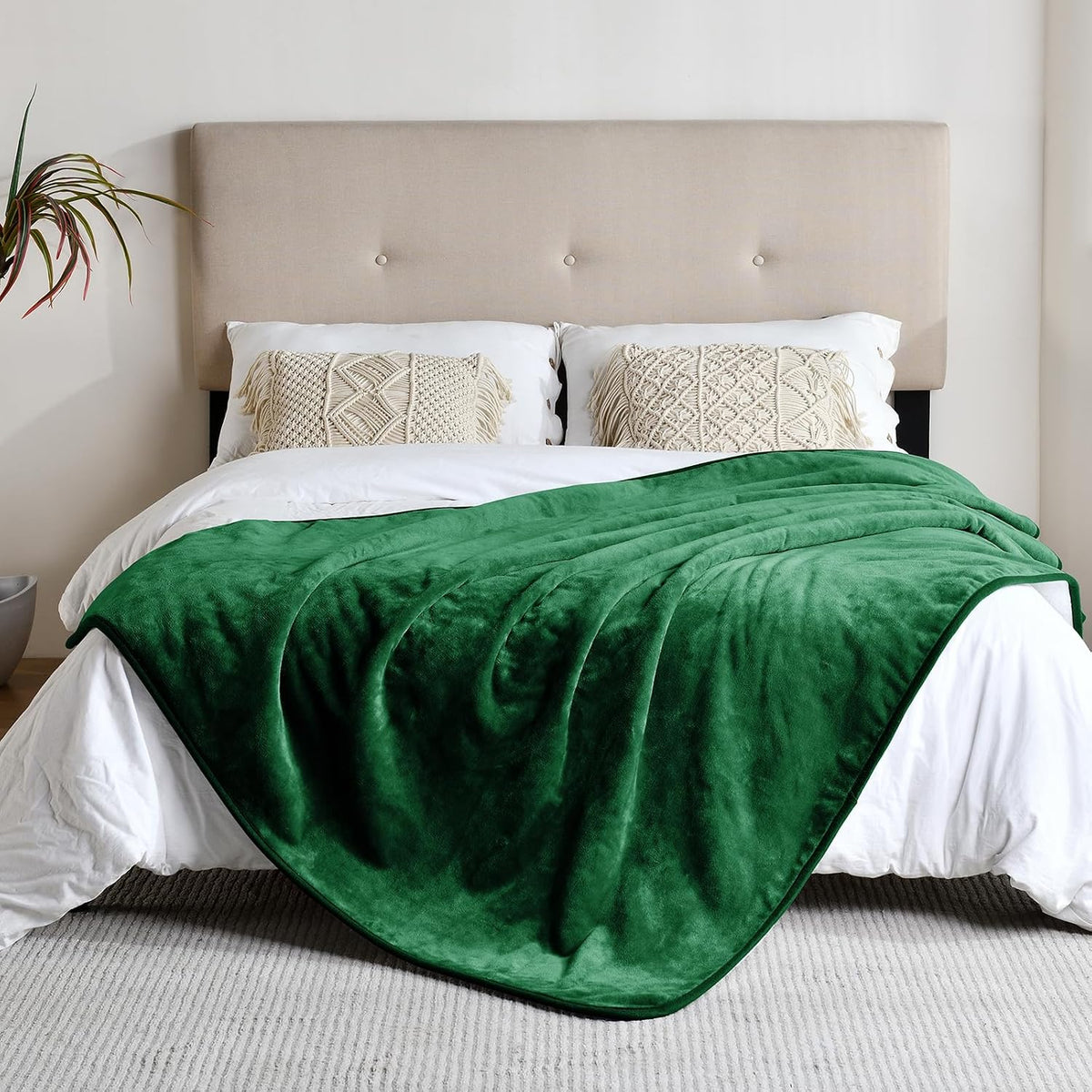 Soft Waterproof Blanket for Bed Couch Sofa - 50x60 inches / Green - image 3