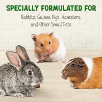 DOC EDDIE'S Digestive Bites - Plant-Based Small Animal Treats for Rabbits, Guinea Pigs, Hamsters, Gerbils, and More - Probiotics Supplement Made with Timothy Hay, Real Fruits, and Veggies