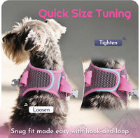 Eagloo Small Dog Harness and Leash Set - S(Chest:15.1"-16.5") / Pink - image 3