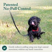 Sporn No Pull Dog Harness - Small / Red - image 3