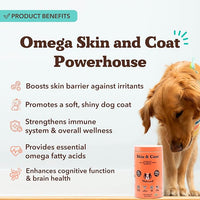 Natural Dog Company Skin & Coat Supplement for Dogs Omega-3 Rich Salmon Oil Chews for Itchy Skin Relief, Shedding & Allergy Support, Shiny Coat Health, with Biotin, Vitamin E, Grain-Free (180 Count)