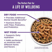 Wellness Complete Health Sliced Adult Wet Cat Food, Natural, Protein-Rich, Grain Free, 5.5 Ounce, 24 Pack, (Turkey & Salmon Entrée)