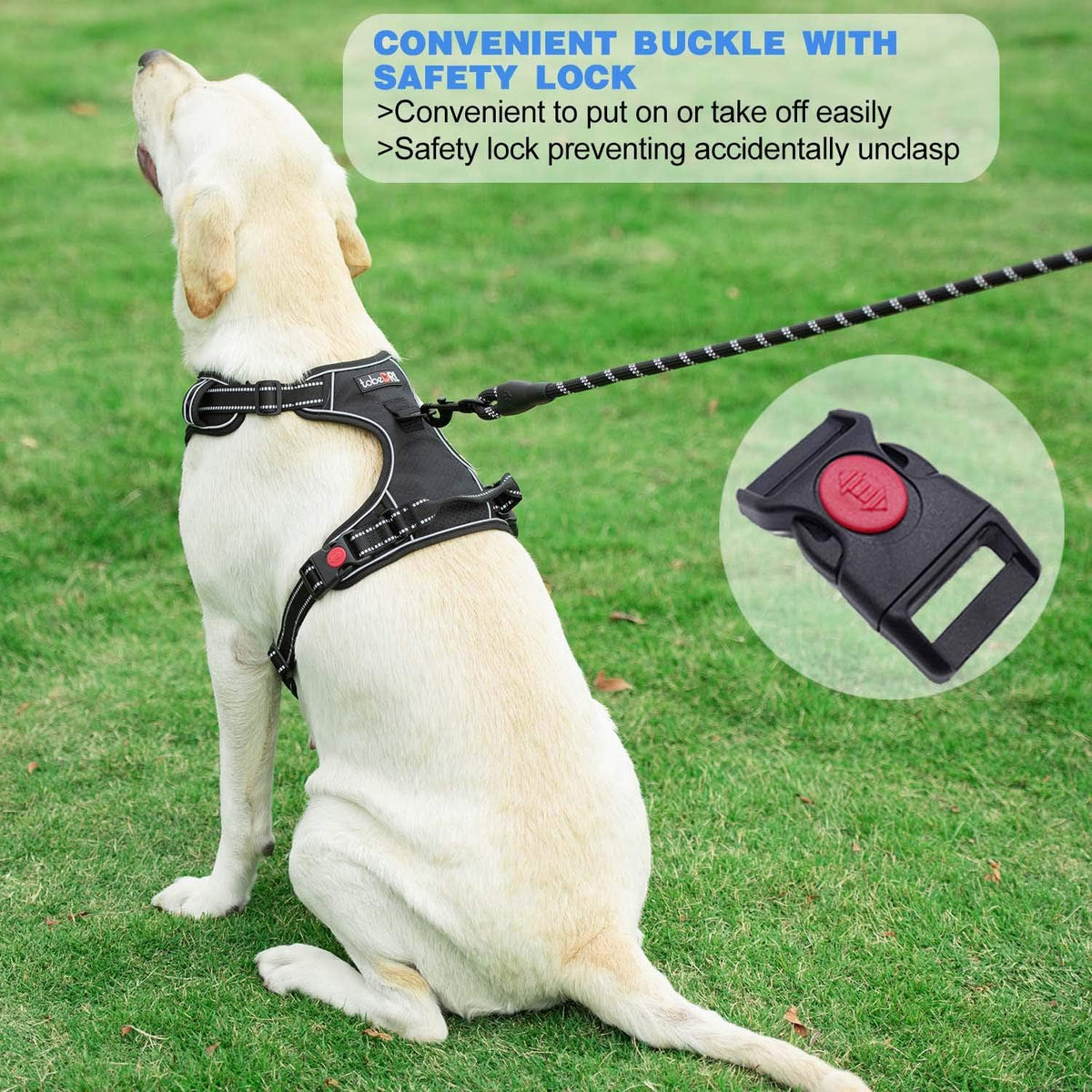 tobeDRI No Pull Dog Harness Adjustable Reflective Oxford Easy Control - Black / Large - image 4