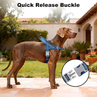 No Pull Dog Harness with Handle - Blue / M - image 3