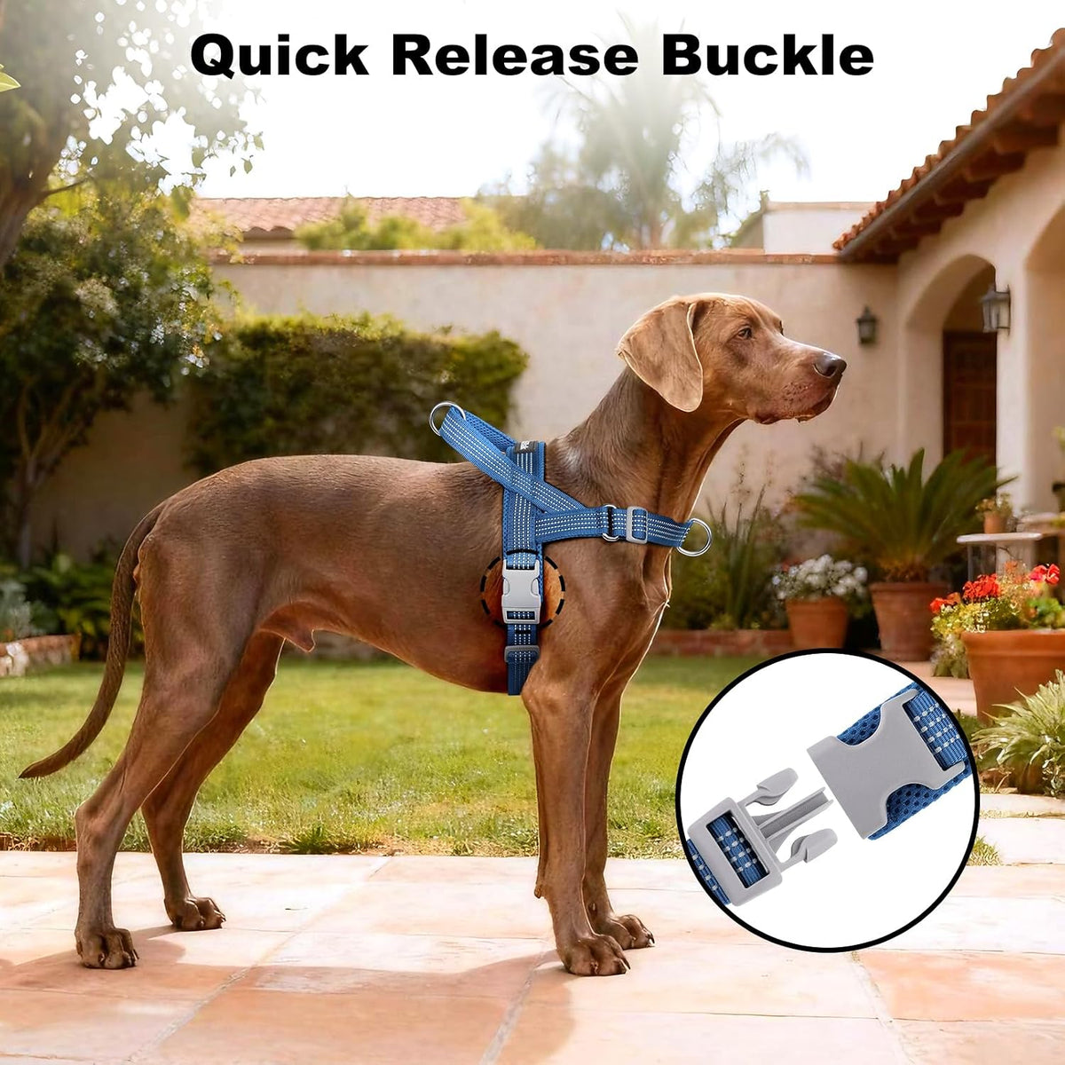 No Pull Dog Harness with Handle - Blue / M - image 3
