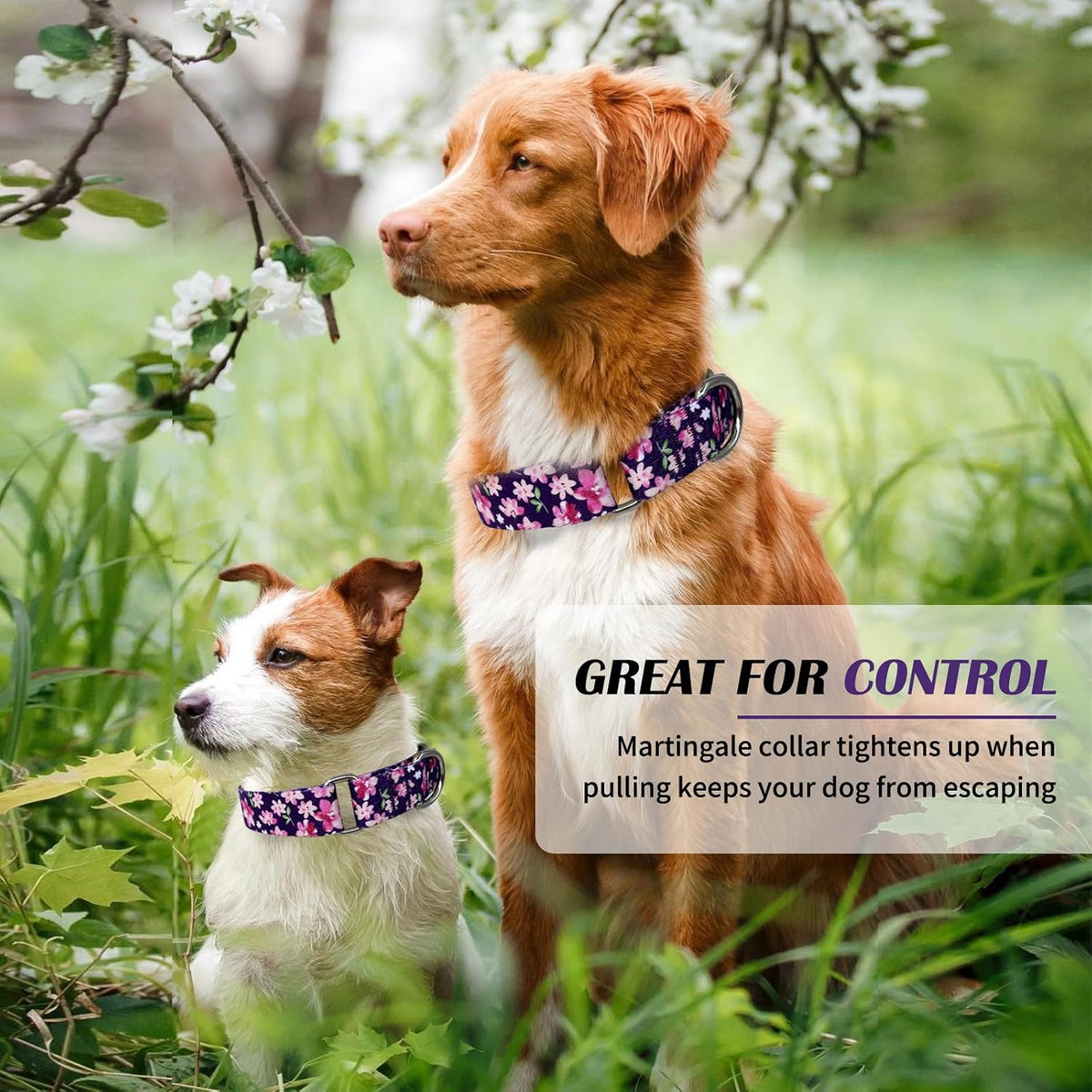 Hikiko Martingale Dog Collar Without Buckle - Japanese Purple / Small - image 3