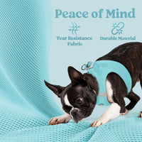 rabbitgoo Step-in Small Dog Harness - Mint Blue / Xl(chest:20.0"-21.8") - image 4