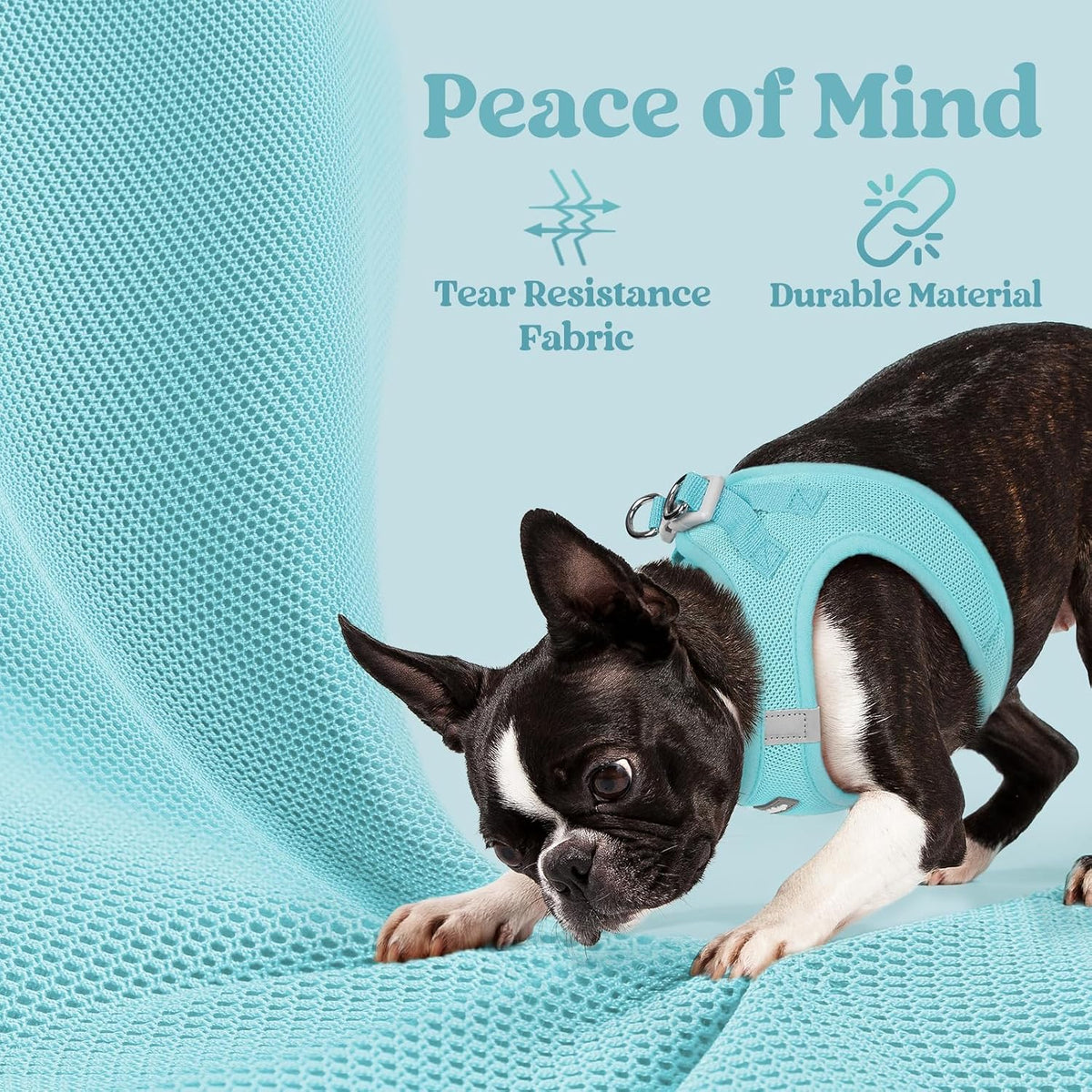 rabbitgoo Step-in Small Dog Harness - Mint Blue / Xl(chest:20.0"-21.8") - image 4