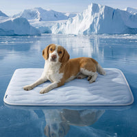 Bedsure Cooling Mat for Large Dogs - 35" x 23" (L-Crate) / Blue