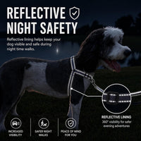ShawnCo Dream Walk Pro No-Pull Dog Harness – Essentials for Dogs - Large / Oceanic Blue - image 4