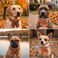 ADOGGYGO Fall Plaid Dog Collar 2 Pack, Thanksgiving Dog Bow Tie - Medium / Fall Sailor Bow - image 2