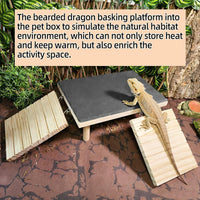 Reptile Bearded Dragon Basking Platform Rock with Climbing Ramp - M - 11.8"D x 5.9"W x 4.7"H - image 3