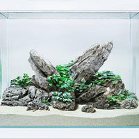 LANDEN Seiryu Stones Natural Rocks for Aquarium, Paludarium, Terrariums, Landscaping Rocks, Aquascaping, 80L (36lbs) 3-11in, Seiryu Stones(3-11inch,36lbs)