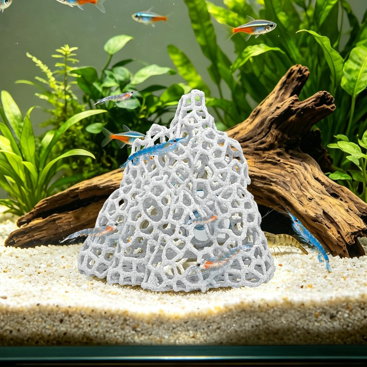 Cave with Suction Cup, Aquarium Betta Fish Hideout Habitat Decor - White