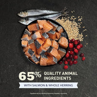 ACANA Indoor Entrée Fish Recipe Dry Cat Food 4lb Bag