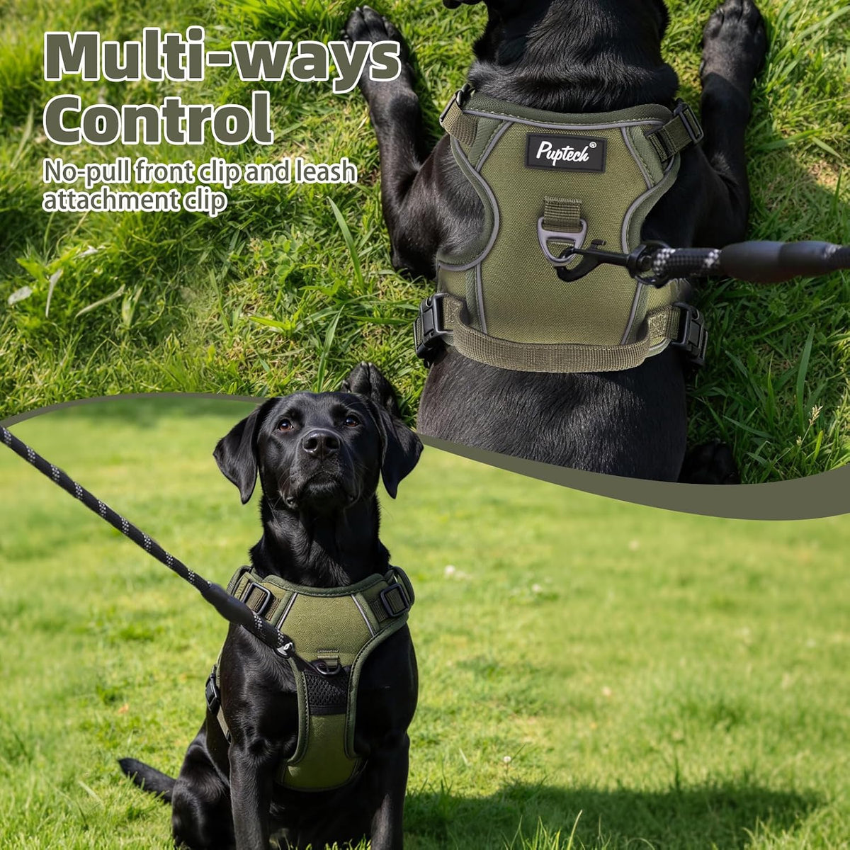 PUPTECK No Pull Halloween Dog Harness for Large - Green / Large / Harness Only - image 3
