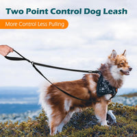 Two Point Control Dog Leash, No Tangle Training Walking Leashes – Essentials for Dogs - Black - image 2