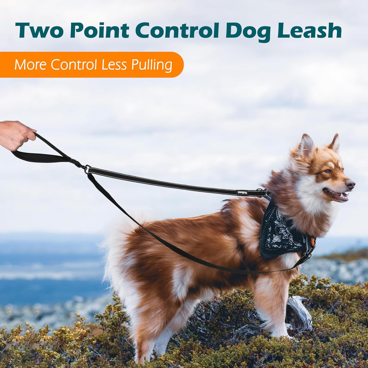 Two Point Control Dog Leash, No Tangle Training Walking Leashes – Essentials for Dogs - Black - image 2