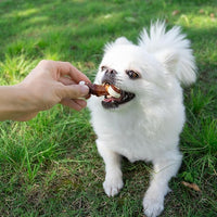 MON2SUN 2.5" Rawhide Free Dog Treats with Mixed Vegetables, Duck Wrapped Mini Knot Bones for Small Dogs, Healthy Snacks for Balanced Nutrition, 21.2oz