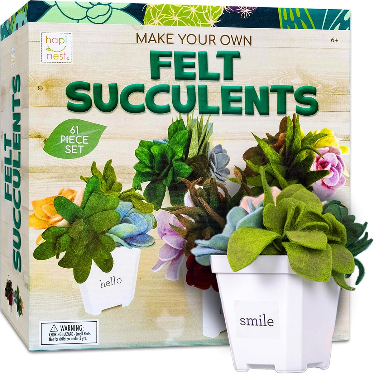 Hapinest DIY Potted Felt Succulents Craft Kit for Adults Women Teens