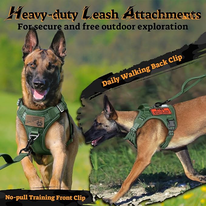 rabbitgoo Dog Harness Medium Sized No Pull, Tactical Service Pet Vest with Molle and Control Handle, Adjustable and Reflective Military Harness for Easy Walking and Training, Green, M